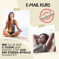 5 Tage E-Mail-Kurs - Wie du in nur 5 Tagen den ersten Step aus der Stress-Spirale schaffst!